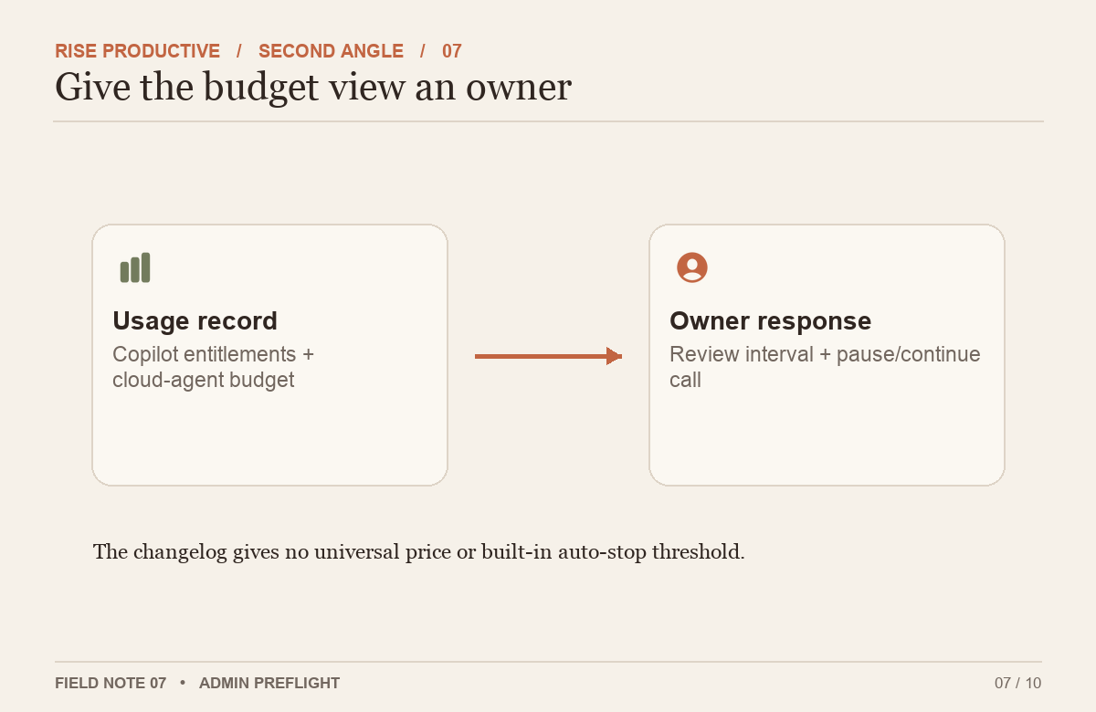 A pilot budget gauge assigns an owner, an observation interval, and a stop/continue decision without inventing price values.